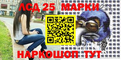 ГАЛЛЮЦИНОГЕННЫЕ ГРИБЫ Гусев
