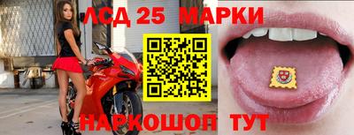 ГАЛЛЮЦИНОГЕННЫЕ ГРИБЫ Гусев